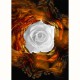 FRACTALIZATION GREETING CARD White Rose